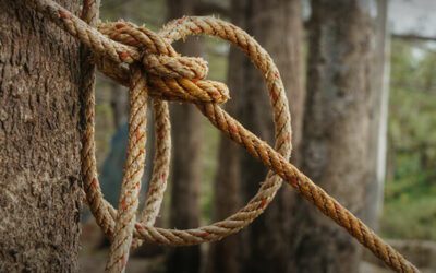 How to Make the Tax Code Work for You